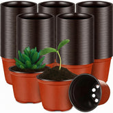 Nuanchu 600pcs nursery pots top view in brick red for quick seedling setup.