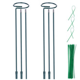 Numyew DIY plant support stake 12-inch keeps tomato stems steady for upright growth