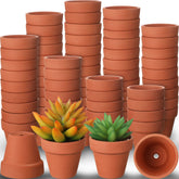 Nuogo mini terracotta pot with drainage holes, ideal for tiny succulents.