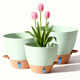 Nuotuv self-watering pot with water level indicator showing moisture to monitor.