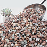 NUPICK lava rocks add colorful top dressing with improved drainage for plants