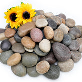 NUPICK Mexican beach pebbles 2-3 inch for pathways, planters, and vibrant garden accents.