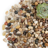 NUPICK river rocks for indoor plants 1-5 inch provide long-lasting beauty