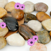 NUPICK river rocks 2-3 inch close-up for indoor plant displays with durable color