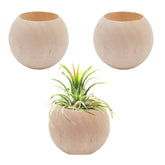 Nwsrayu wood air plant holder table centerpiece for home decor.