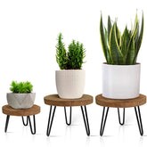 OBTAIN Plant Stand with wooden top plate highlights natural grain for stylish indoor displays.