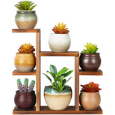 OcBuct 7-tier desk plant stand displaying organized succulents on a sunny desk