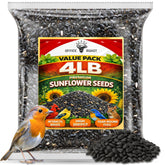 Office Roast premium black oil sunflower seeds for year-round songbird feeding.