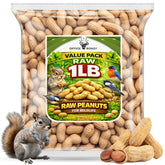 Office Roast raw peanuts in shells in a 1 lb bag for healthy snacking.
