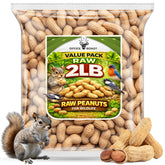 Office Roast raw peanuts in shell 2lb bag, ideal for snacking or wildlife feeding.