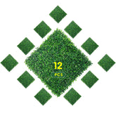 Ogrmar boxwood panel with dense leaves enhances outdoor privacy.