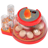 OISEAUXEON incubator with 360 degree viewing window for easy hatch monitoring
