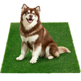 Oiyeefo artificial turf with drainage holes for quick cleaning and dry surfaces.