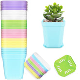 OJYUDD 24-pack colorful square pots packaging for organized plant displays