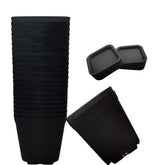 OJYUDD 3-inch black square plant pot with saucer, ideal for succulents on a bright windowsill.