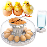 OKKÖBI M12 incubator with 360° lid view for easy monitoring during hatch