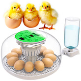 OKKÖBI M12 egg incubator with 360-degree view helps observe hatch progress without opening the lid.