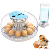 OKKÖBI M12 incubator 360° lid enables gentle hatch monitoring