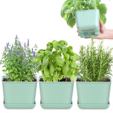 Oliz herb planter 4-pack on display for neat indoor herb cultivation.