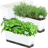 Oliz Window Box Planter 4-pack front view shows white rectangular pots for herbs and flowers.
