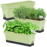 Oliz Window Box Planter 4 Pack on a sunny windowsill, ideal for fresh herbs.