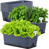 Oliz window box planter set of eight in grey for stylish windowsill gardening