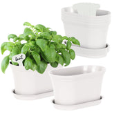 Oliz Windowsill Garden Pots pack6 on a sunny windowsill for compact herb growing.