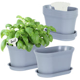 Oliz Windowsill herb planter set with six grey pots boosts kitchen herb access.