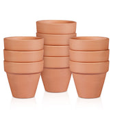 OLLEEP clay pot 5.5-inch diameter with drainage holes for healthy roots.
