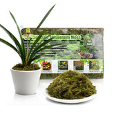 Omitgoter moss pack closed, ready for storage and moisture control.