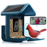 Onlyfly bird feeder camera delivers vibrant 2K live footage of visiting birds.