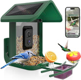 Onlyfly bird feeder with camera offering a 2K live feed of visiting birds for backyard observation.