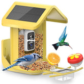 Onlyfly birdfeeder camera live 2K captures colorful birds at the feeder.