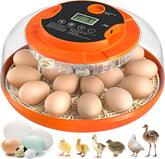 Onsju 18-egg incubator with digital control panel for precise settings