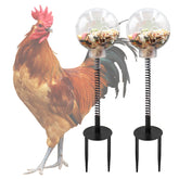 Oooct chicken pecking toy with swing feeder front view for engaging feeding
