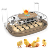 Oqioprd 24-egg incubator setup with versatile trays and clear lid for monitoring
