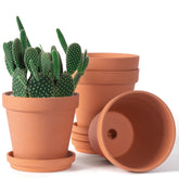 Orceler 6-inch terracotta pot with drainage hole for better watering control.