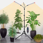 Orchbloom 3Head Grow Light with Stand supports year-round indoor plant growth.