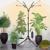 Orchbloom 6Head Grow Light on Stand over tall indoor plants for even coverage.
