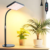 Orchbloom table-top grow light setup for compact indoor gardening