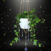 ORCHID AURA beaded plant hanger with sun catcher creates rainbow reflections in sunlight.