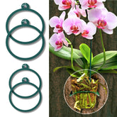 OrchidHug large 4in green-coated mounting ring supports mature orchids on trees.