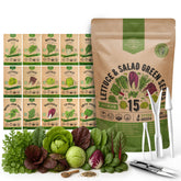 Organo Republic 15 lettuce seeds variety pack front view for home gardens.