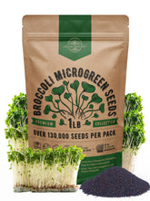 Organo Republic broccoli sprouting seeds in a resealable 1lb bag for year-round microgreens.