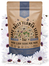 Organo Republic Cape Daisy seeds pack ready for planting and storage.