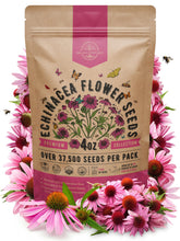 Organo Republic echinacea seeds pack 4oz ready for planting in perennial gardens.