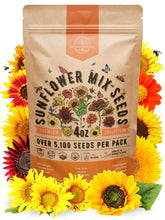 Organo Republic sunflower mix seeds pack in resealable bag for freshness