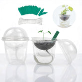 ORIMERC 30-set nursery pots with drainage holes support healthy root growth