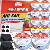 Ortho Ant Traps Indoor in a metallic case protecting surfaces while targeting indoor ants.