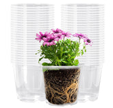 Oubest clear 5-inch nursery pot—transparent for easy root monitoring and drainage.